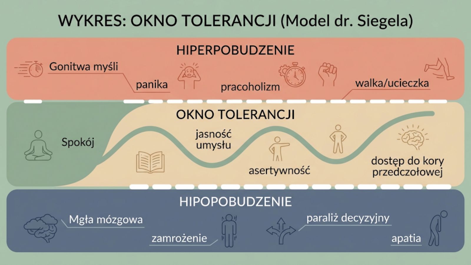 Wykres Okna Tolerancji - model inspirowany pracami dr Siegela